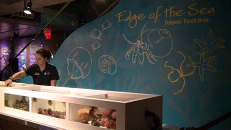 Aquarium News And Updates