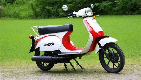 step  step guide  registering  moped
