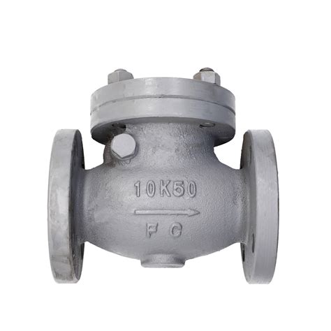 Marine Jis F Cast Iron K Swing Check Valves China Jis F And Wkv