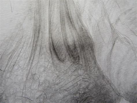 Hand Drawn Anatomical Genitalia Tonal Pencil Drawing Of A Male Nude