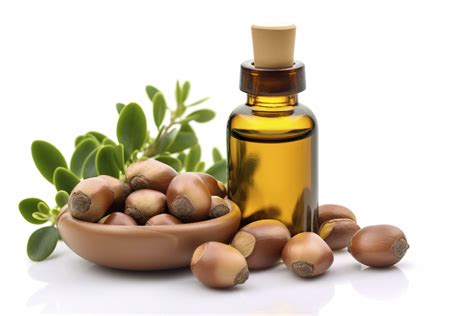 Argan seeds isolated on a white banner background. Argan oil nuts with plant. Cosmetics and ...