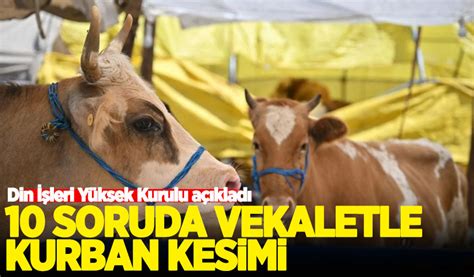 10 Soruda Vekaletle Kurban Kesimi Habervakti Son Dakika Haber Haber