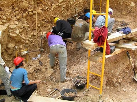 paleontologists work    surprising tools
