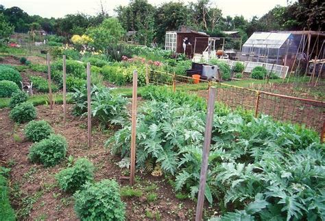 Image Result For Winter Vegetable Garden Southern California Vegetable Planting Guide For