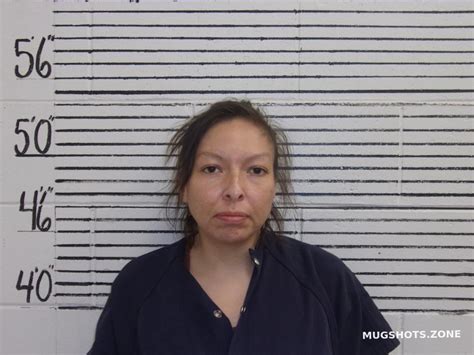 Chinana Emma S Socorro County Mugshots Zone