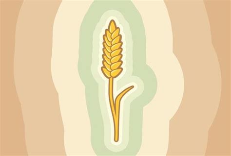 Wheat Poster Vector Art, Icons, and Graphics for Free Download