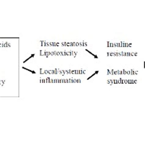 Schematic diagram from visceral adipose tissue to cardiovascular damage ...