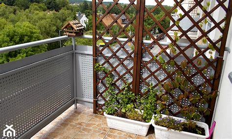 Pnącza na balkon jakie rośliny pnące na balkon wybrać Homebook