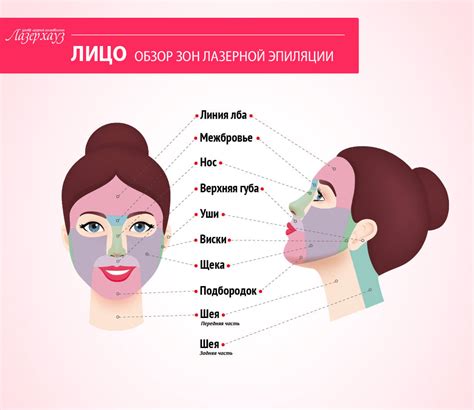 Лазерная эпиляция Киев ᐉ Удаление волос лазером | Лазерхауз