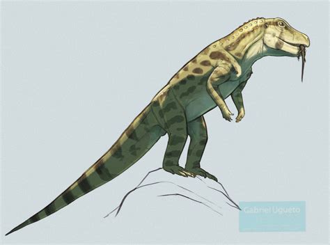 Ornithosuchus Semi Bipedal Pseudosuchian That Lived During The Late