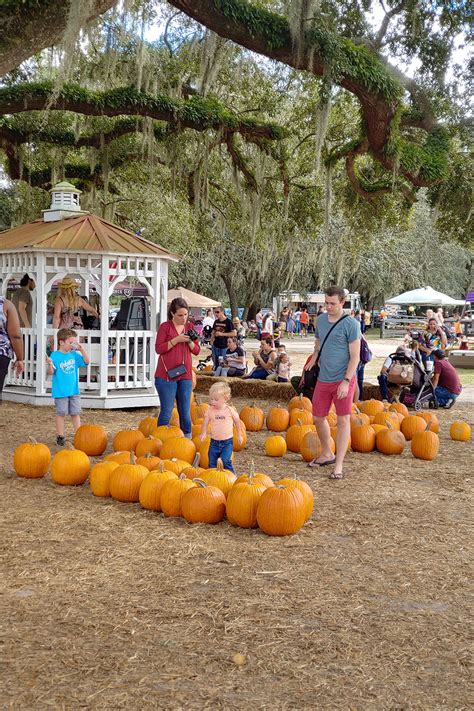 Pumpkin Patch Painted Oaks Academy