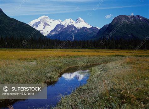 Iliamna Volcano And Coastal Salt Marsh Near West Glacier Creek