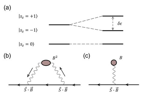 Time Reversal Symmetry In Terms Of General Theory Of Quantum