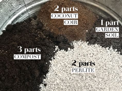 garden soil vs potting mix 8