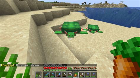 Floating turtle :> : r/Minecraft