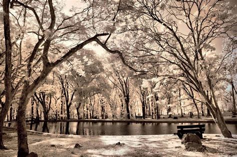 lake photograph  mario bennet fine art america