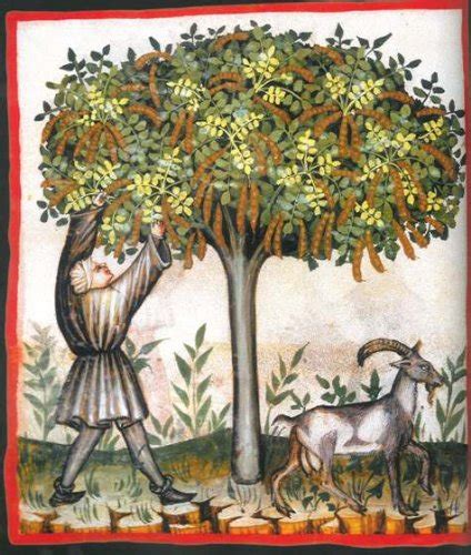 The Grand Medieval Bestiary: Animals in Illuminated Manuscripts (2012 ...