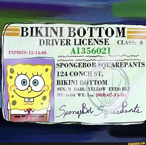 Bikini Bottom Driver License Cass S I Expires A