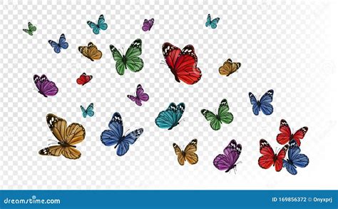 Flying Butterflies. Colorful Butterfly Isolated on Transparent ...