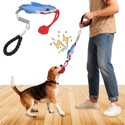 Cuerda Interactiva Perros Tira Y Afloja Resorte Amortiguador - Dr Mascota