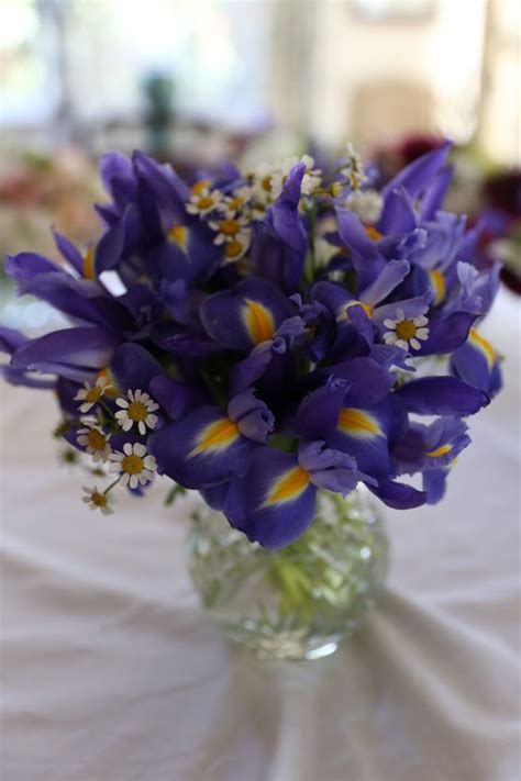 37 Amazing Ideas To Incorporate Irises Into Your Wedding Weddingomania