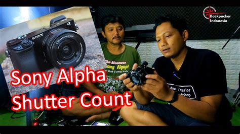 Cara Cek Shutter Count SC Kamera Sony Mirrorless Tanpa Aplikasi Sony