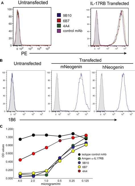 Blockade Of Rgmb Inhibits Allergen Induced Airways Disease Journal Of