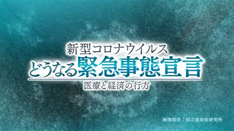 「新型コロナウイルス どうなる緊急事態宣言 ～医療と経済の行方～ 」 Nhkスペシャル Nhk