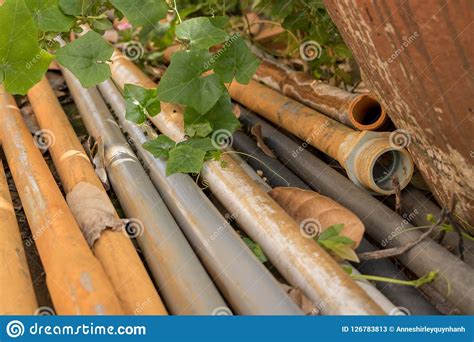 Vintage Old Pvc Water Pipes With Green Leaves Plant Outdoor G Stock