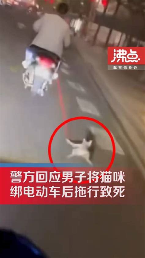 男子骑电动车拖行猫咪致死 警方：相关部门处理中 后续会通报 致死 猫 电动车 新浪新闻