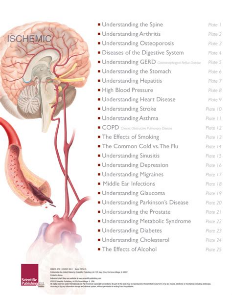 The Illustrated Atlas Of Human Pathology Scientific Publishing