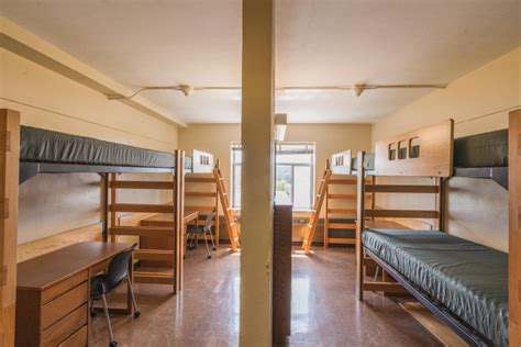 Msu Dorm Address