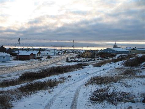 churchill manitoba junglekeycom wiki