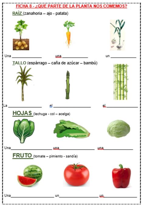 Some Vegetables And Fruits Are Shown In This Worksheet For The Spanish