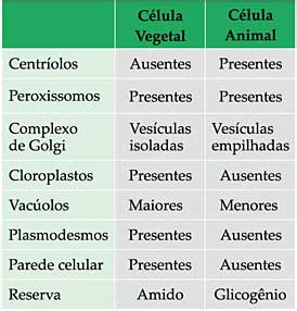 Diferenca Entre Celula Vegetal E Celula Animal Em Uma Tabela