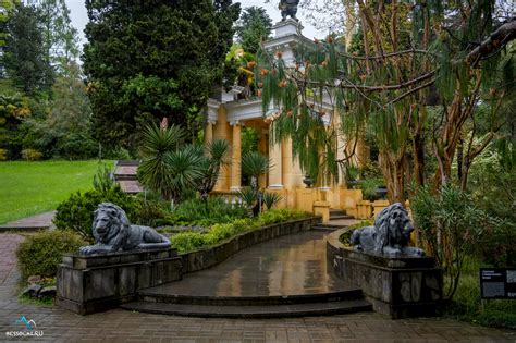 Сочинский Дендрарий после дождя. - Гид по Сочи