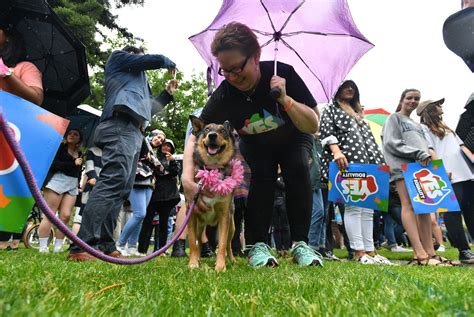 Australians Reacting To The Same Sex Marriage Yes Vote Might Make You Cry