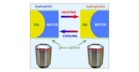 Anomalous Temperature Controlled Concave Convex Switching Of Curved Oil Water Menisci The