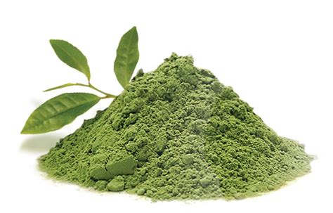 Matcha Powder – Organic (1oz) | Olive Oil Marketplace