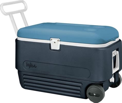Термоконтейнер Igloo купить по выгодной цене в интернет-магазине OZON ...