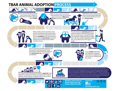 Shelters explain the process for finding adoption dogs free 25