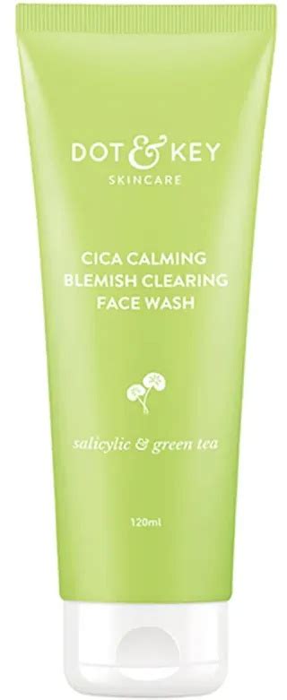 Dot And Key Cica And 2 Salicylic Face Wash With Green Tea And Tea Tree Oil Ingredients Explained