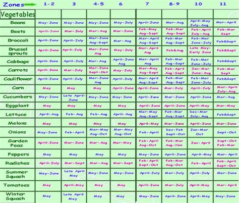 Fall Garden Planting Schedule Zone 5 | Fasci Garden