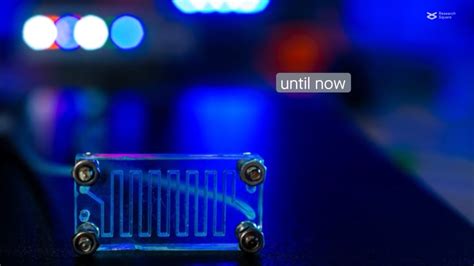 Crean un chip que simula la vagina para conocer más sobre las