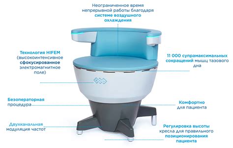 Восстановление тазового дна BTL EMSELLA в Нижнем Новгороде | Клиника ...