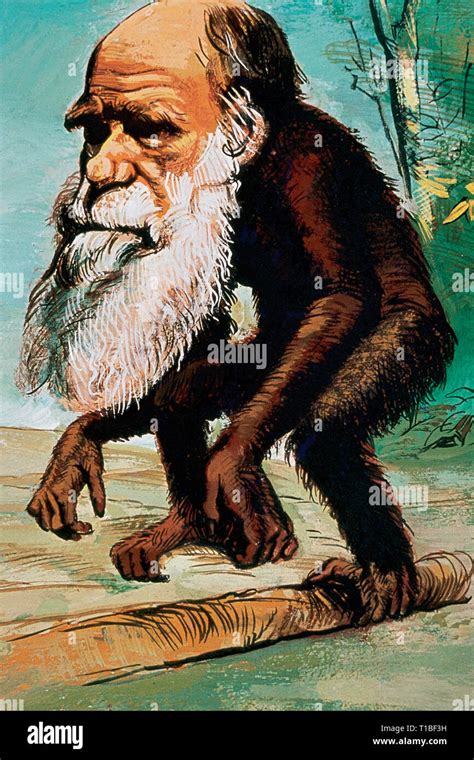 darwin   human darwin theory  nature lihs