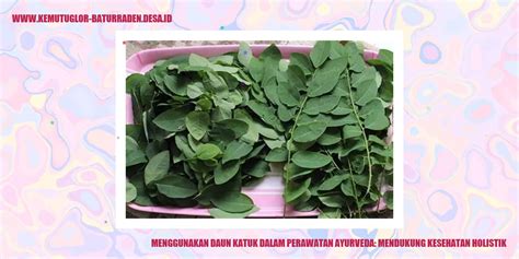 menggunakan daun katuk  perawatan ayurveda mendukung kesehatan