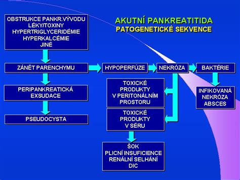 Akutní Pankreatitida Laboratorní Diagnostika Wikiskripta