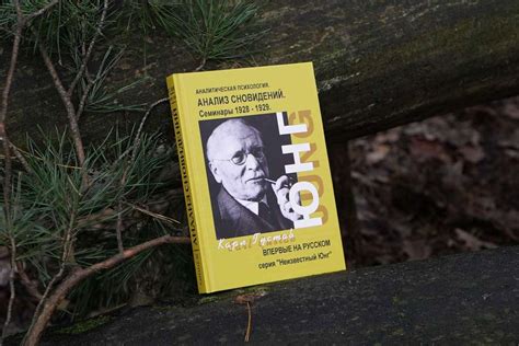 Книги > Символы сновидений в процессе индивидуации | Карл Густав Юнг ...