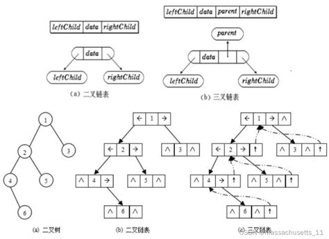 数据结构——树与二叉树 数据结构树和二叉树 Csdn博客